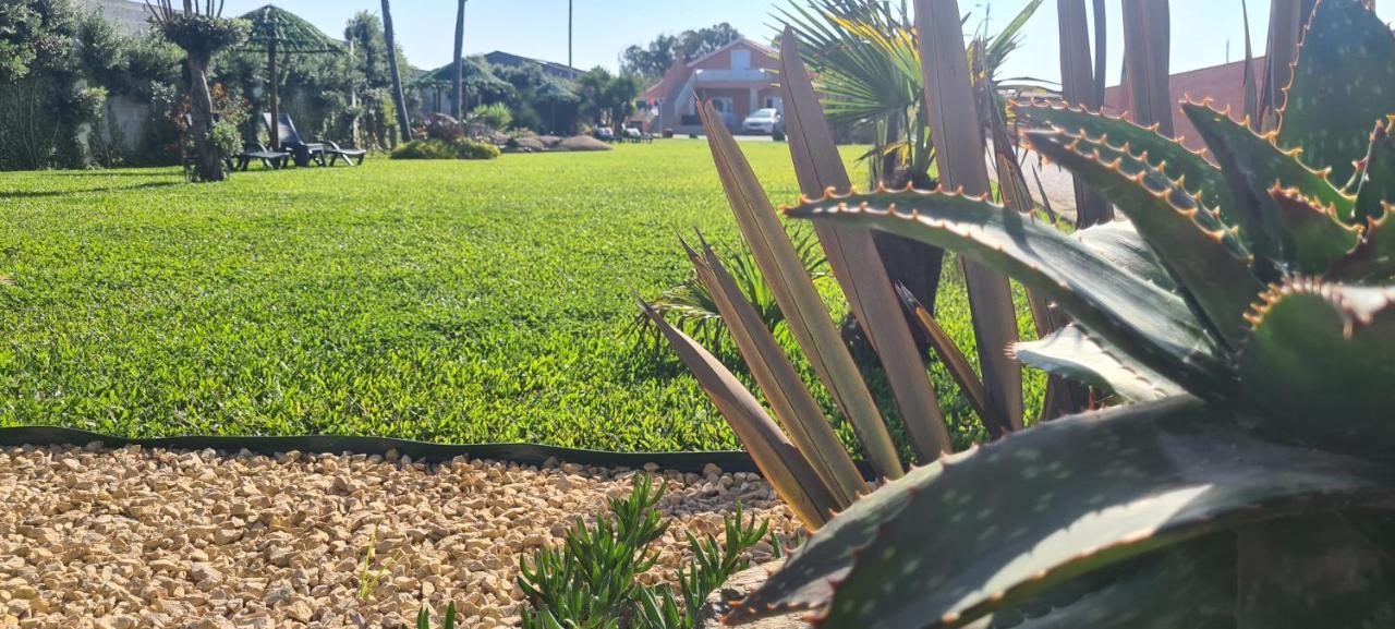 Vila Hollidays Dreams Póvoa de Varzim Exteriér fotografie