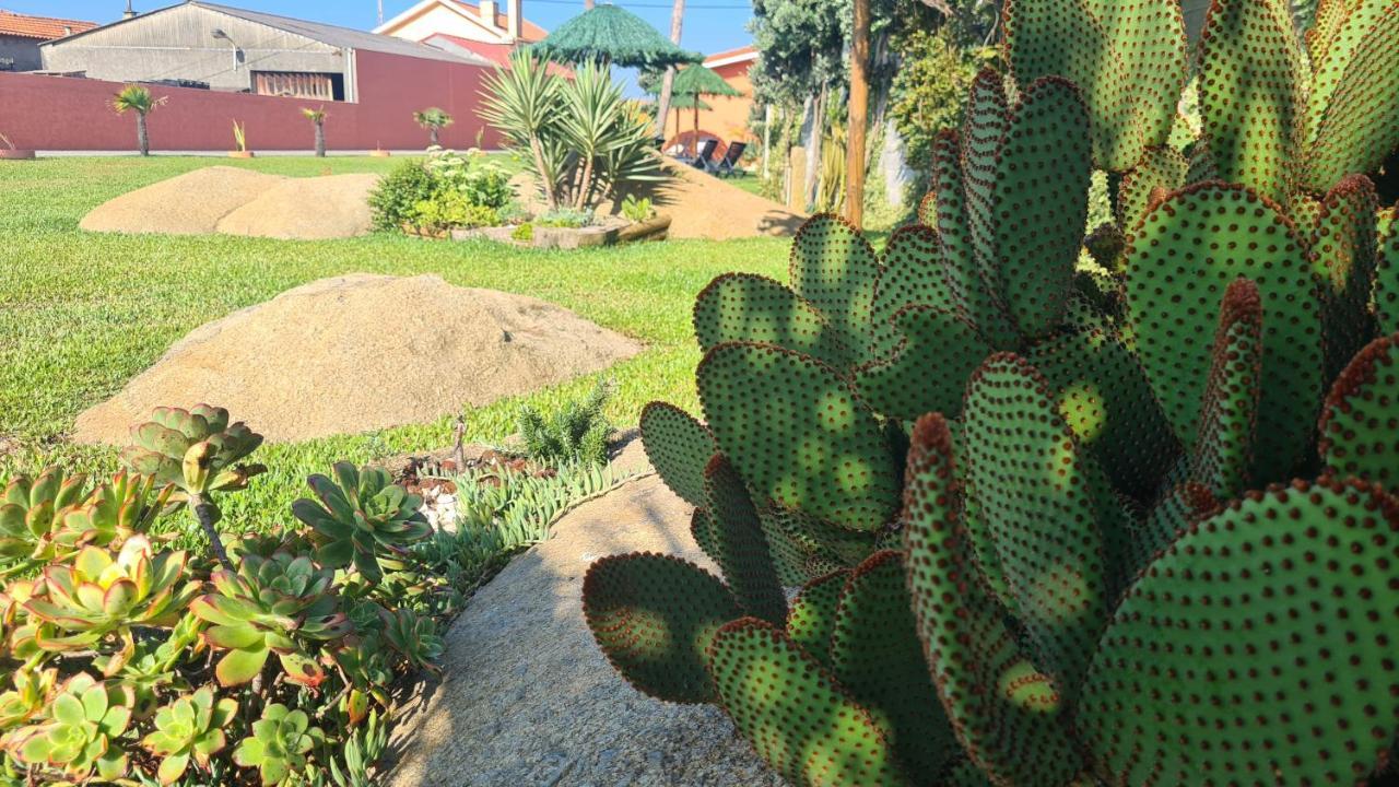 Vila Hollidays Dreams Póvoa de Varzim Exteriér fotografie