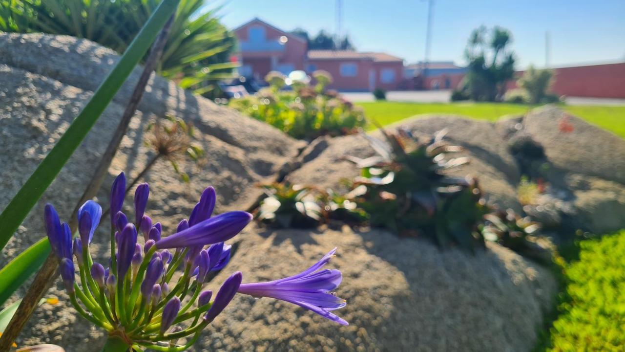 Vila Hollidays Dreams Póvoa de Varzim Exteriér fotografie