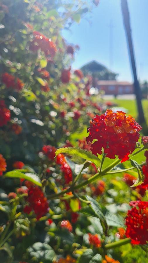 Vila Hollidays Dreams Póvoa de Varzim Exteriér fotografie