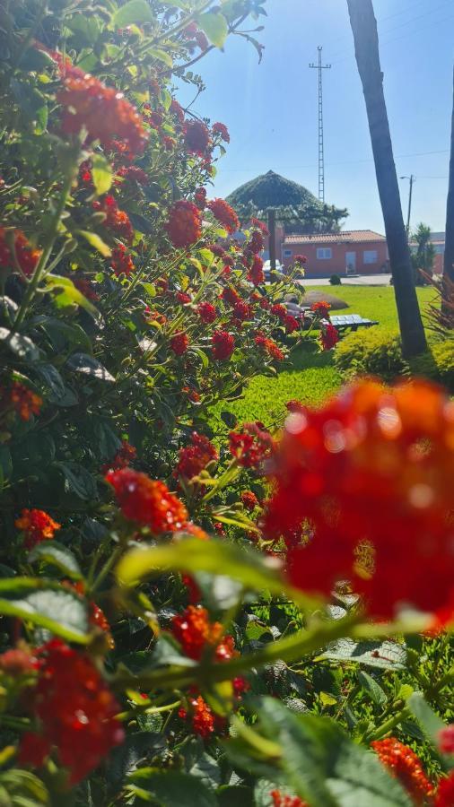 Vila Hollidays Dreams Póvoa de Varzim Exteriér fotografie